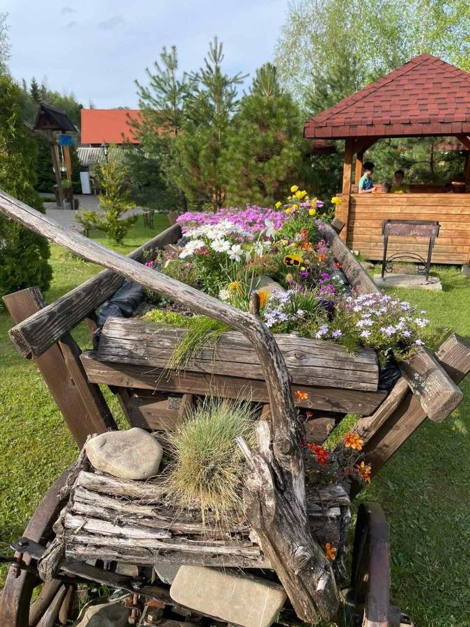 Slovyanka Hotel Slavske Exteriör bild